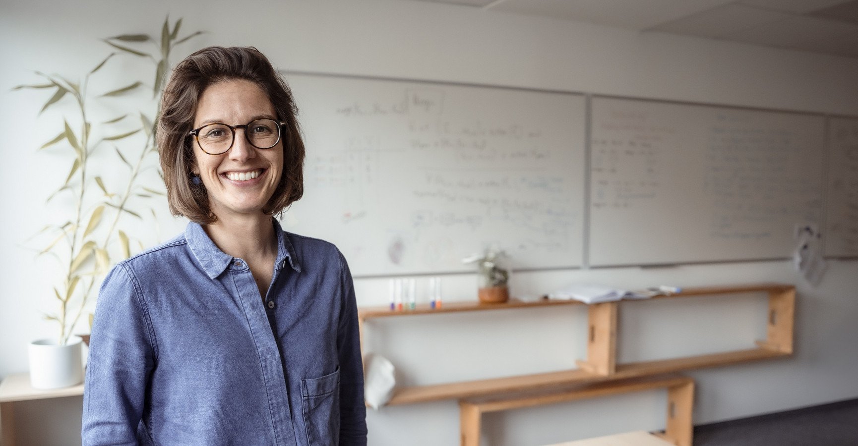 Decorative banner image