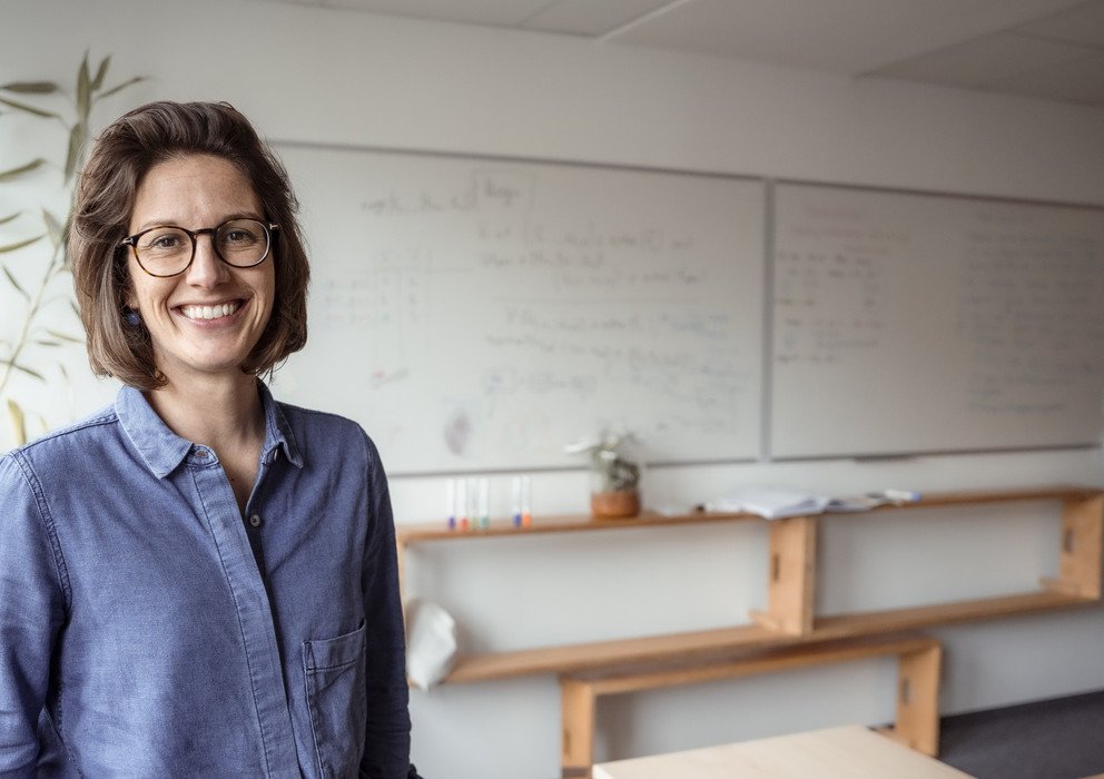 Dekoratives Bannerbild