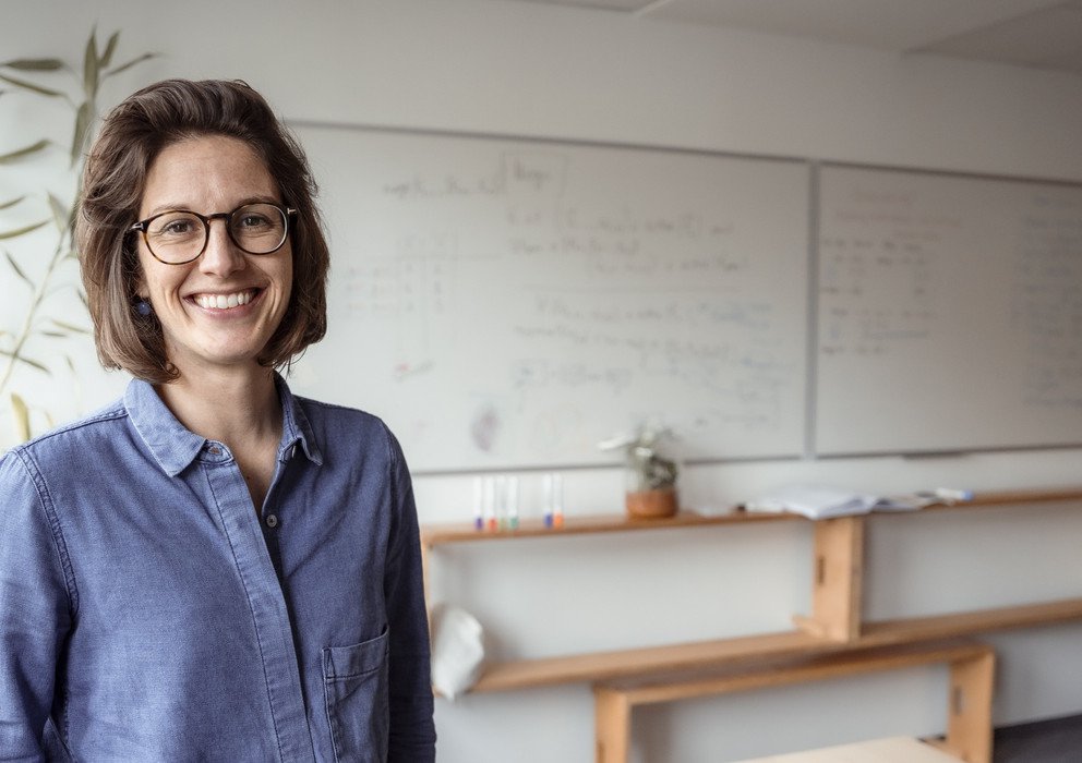 Decorative banner image