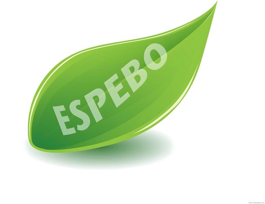 ESPEBO: Nachhaltiges Verhalten in der Organisation verstehen und f&ouml;rdern