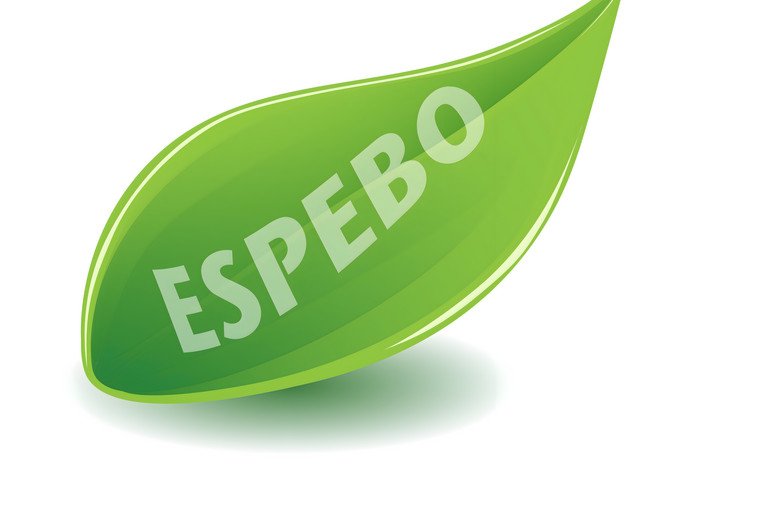 ESPEBO Nachhaltiges Verhalten in der Organisation verstehen und frdern