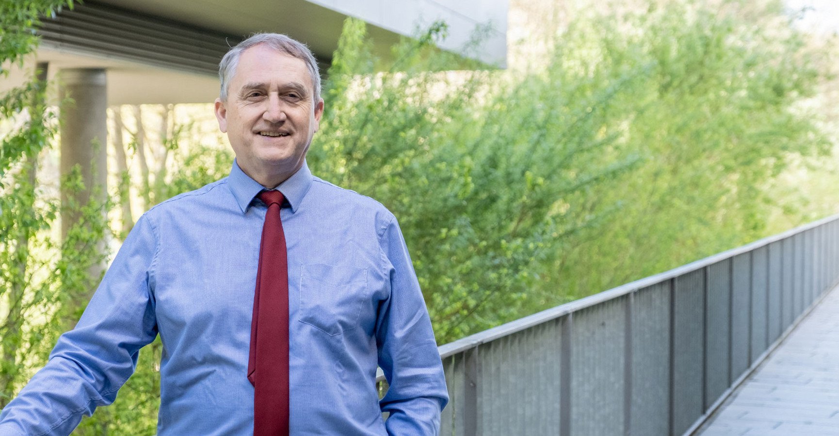 Decorative banner image