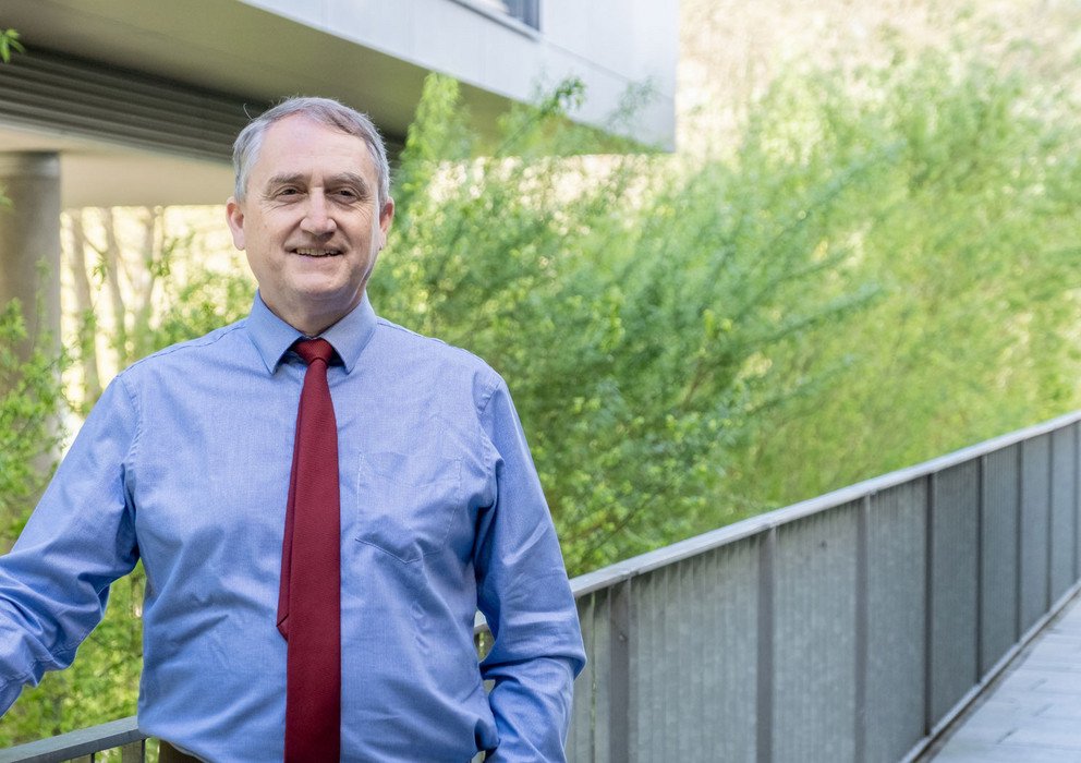 Decorative banner image