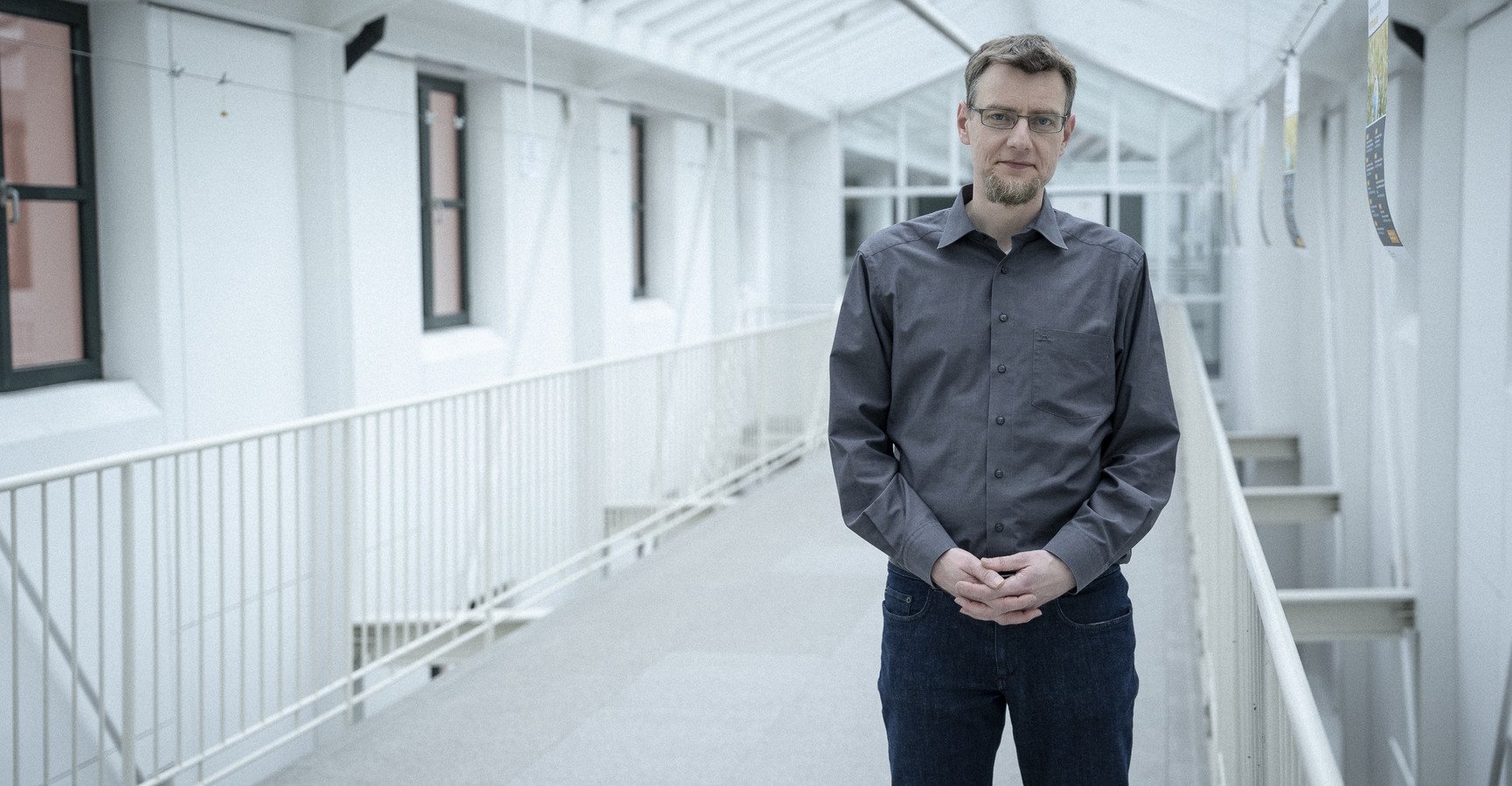 Decorative banner image