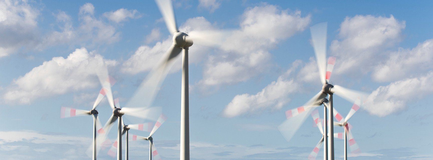 Dekoratives Bannerbild