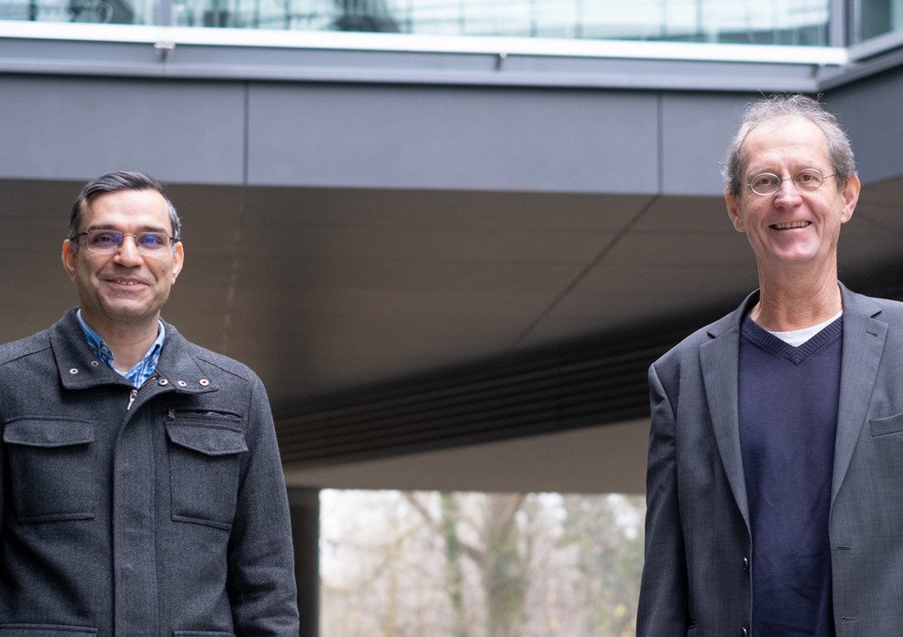 Dekoratives Bannerbild