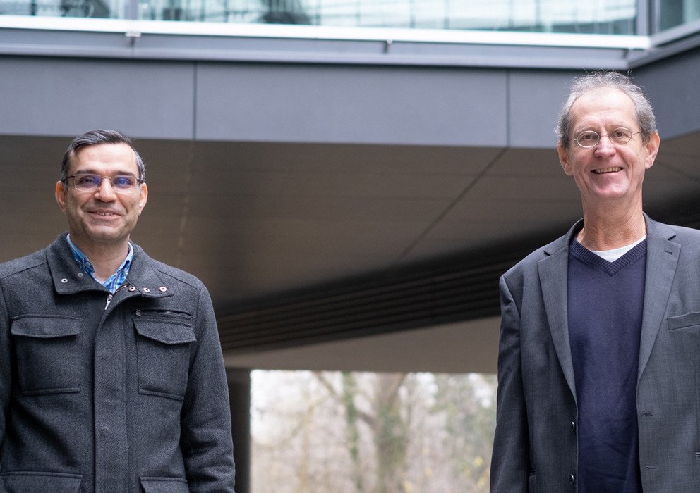 Decorative banner image