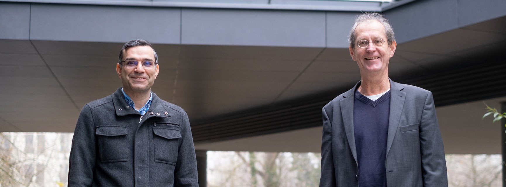 Decorative banner image