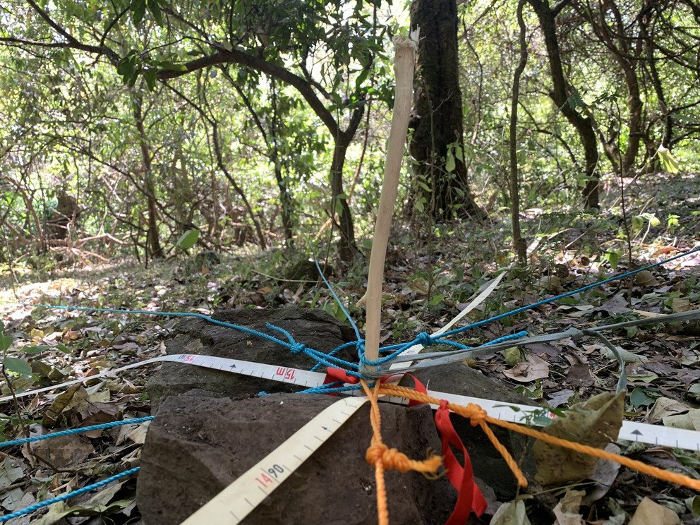 Absteckung unseres Plots mit Ma&szlig;b&auml;ndern und Seilen.