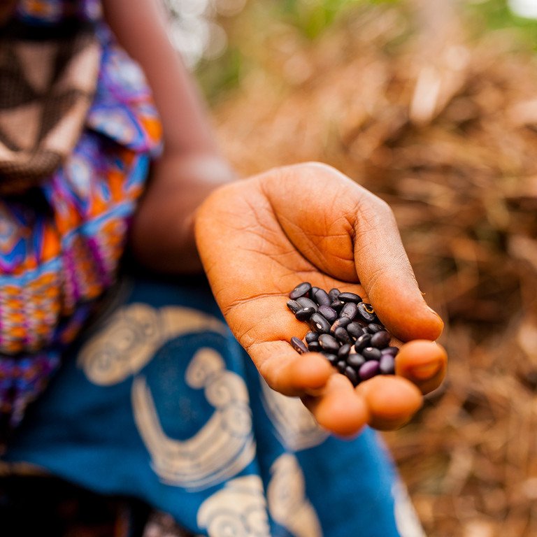 Frau in traditioneller afrikanischer Kleidung h&auml;lt schwarze Bohnen in die Kamera. Symbolfoto: Adobe Stock