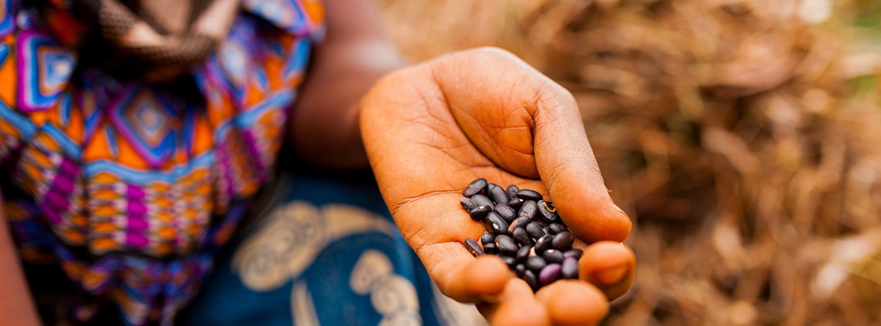 Dekoratives Bannerbild