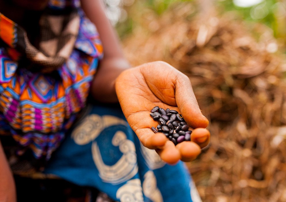 Dekoratives Bannerbild