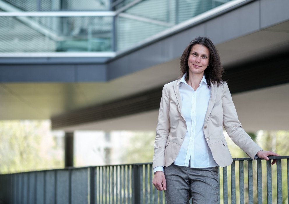 Dekoratives Bannerbild