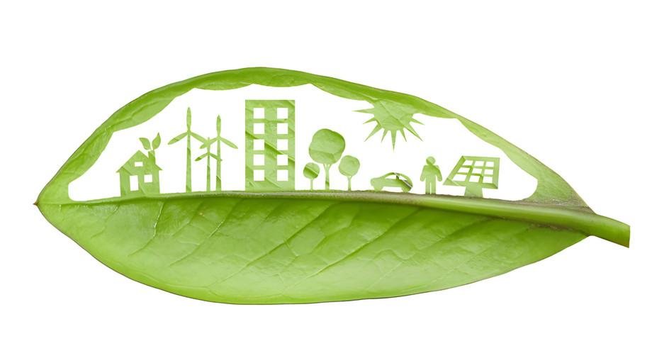 Dilemmas of Sustainable Development