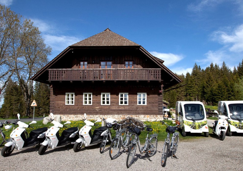 Dekoratives Bannerbild
