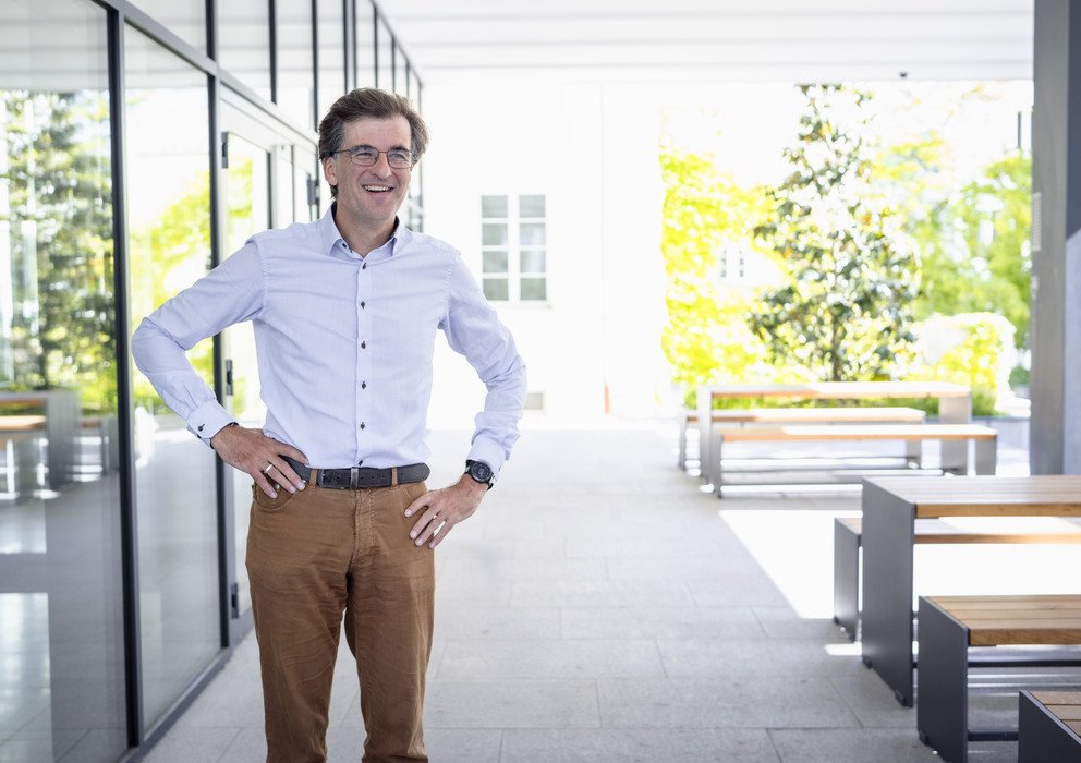 Decorative banner image