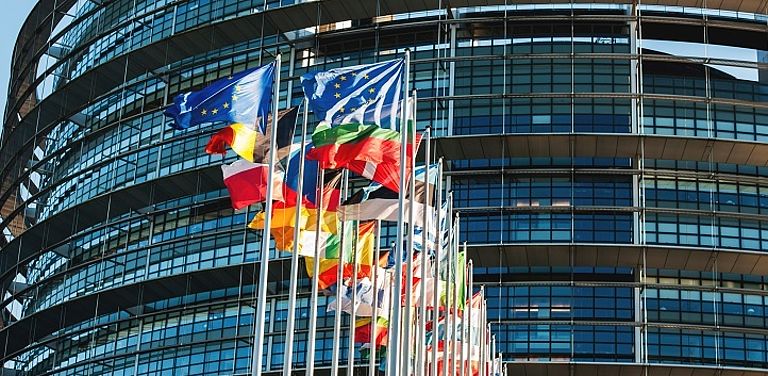 Bild von Europaflaggen vor dem Europäischen Parlament in Straßburg