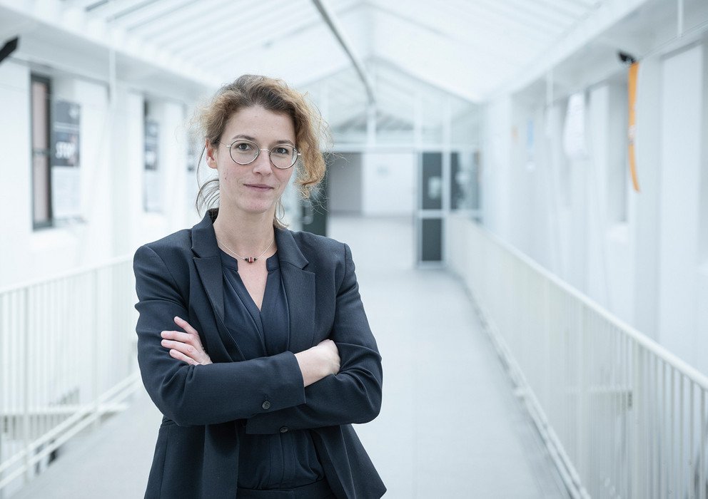 Decorative banner image