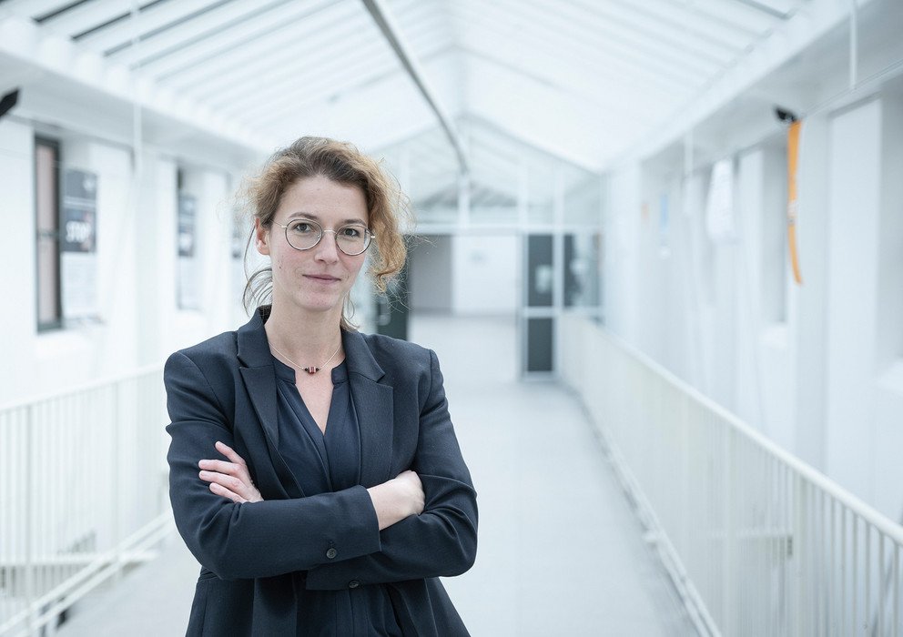 Dekoratives Bannerbild