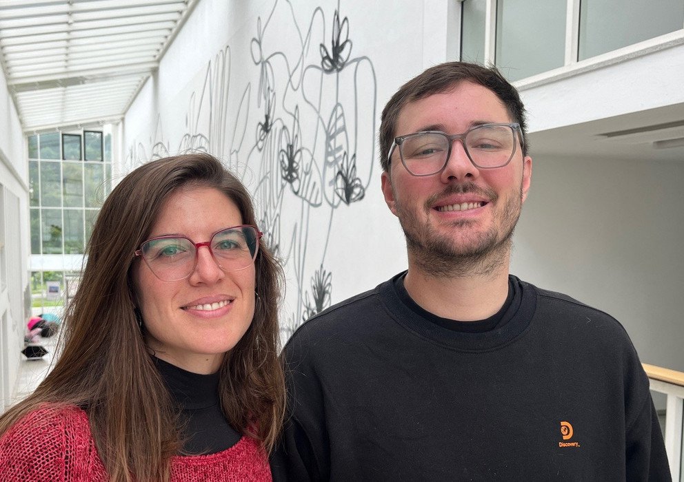 Decorative banner image