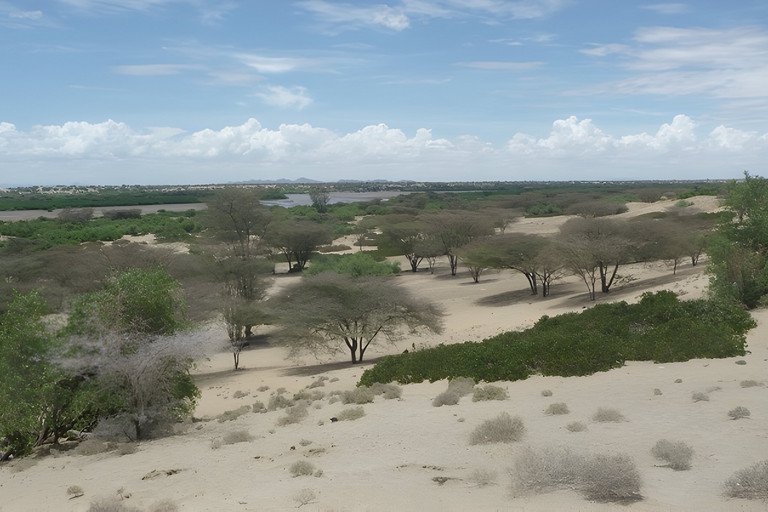 Harnessing wild edible plants to improve food security