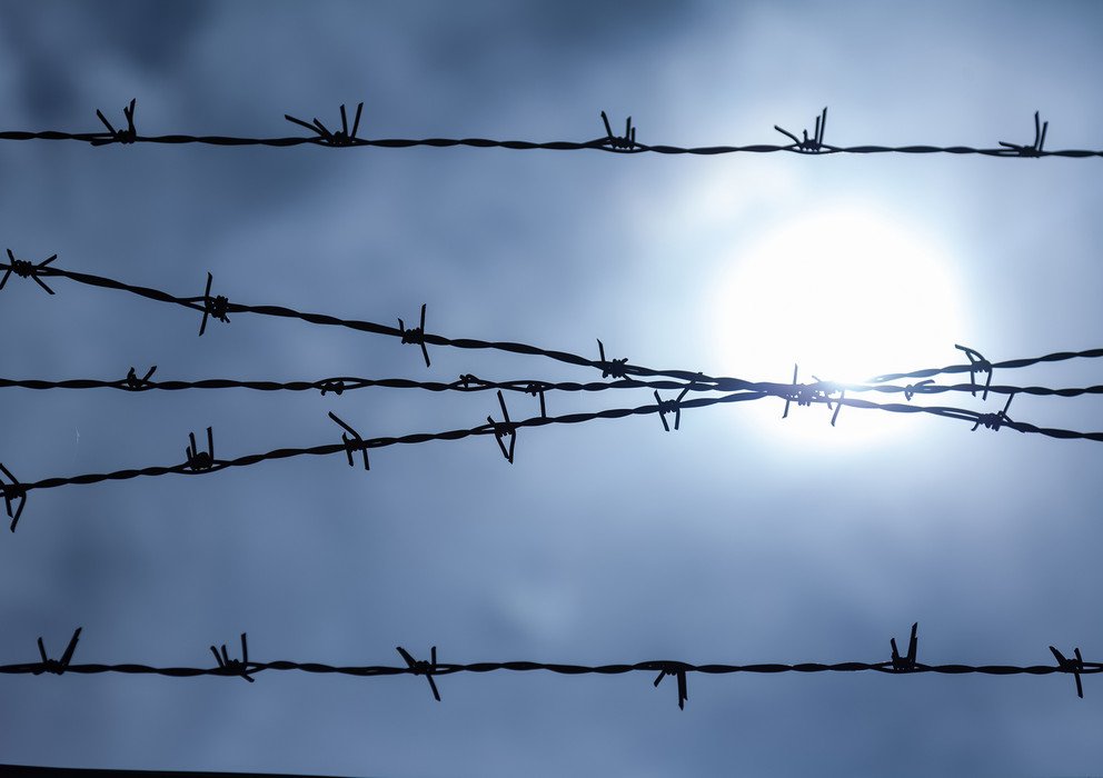 Dekoratives Bannerbild