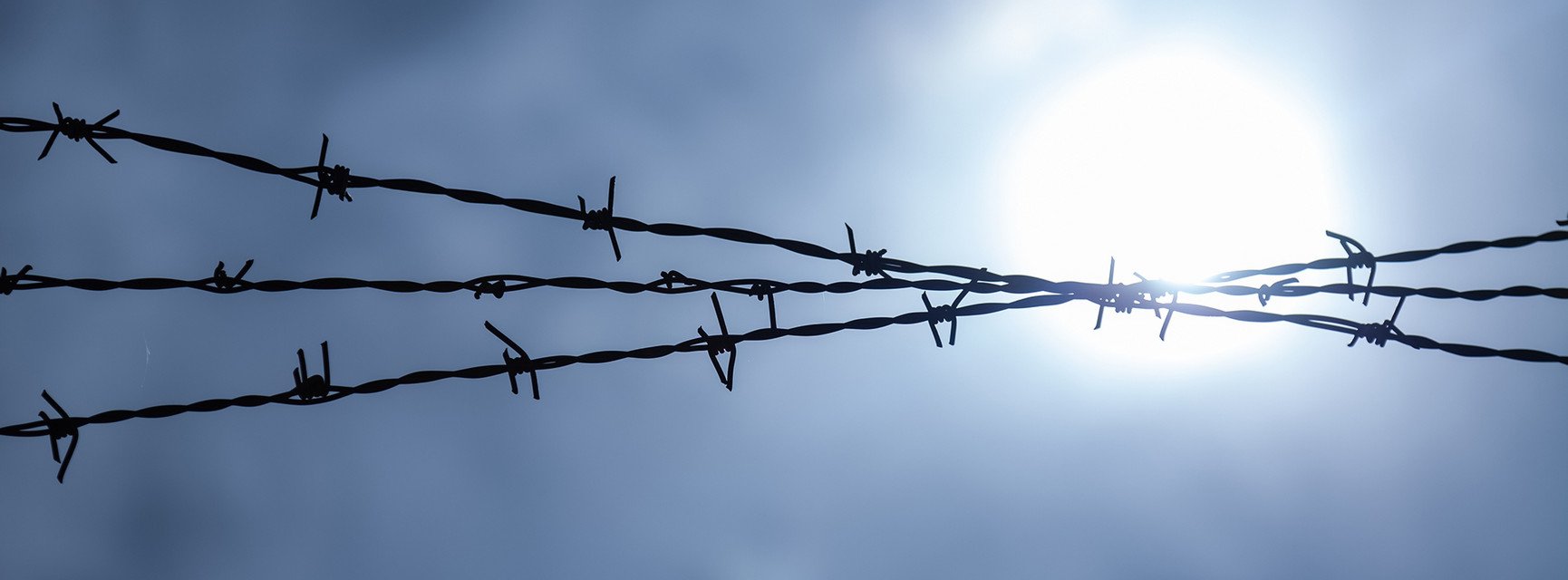 Dekoratives Bannerbild