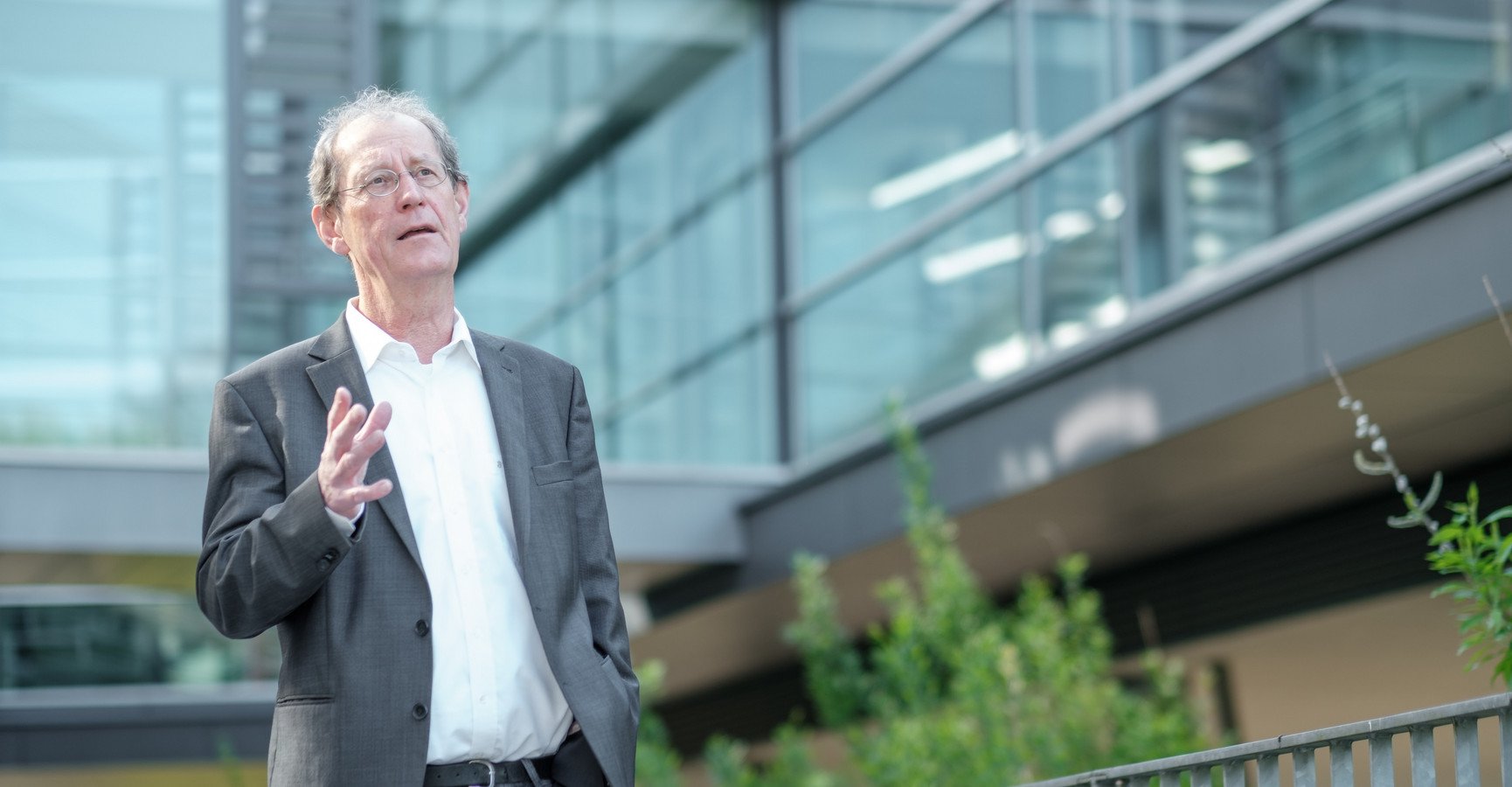 Decorative banner image