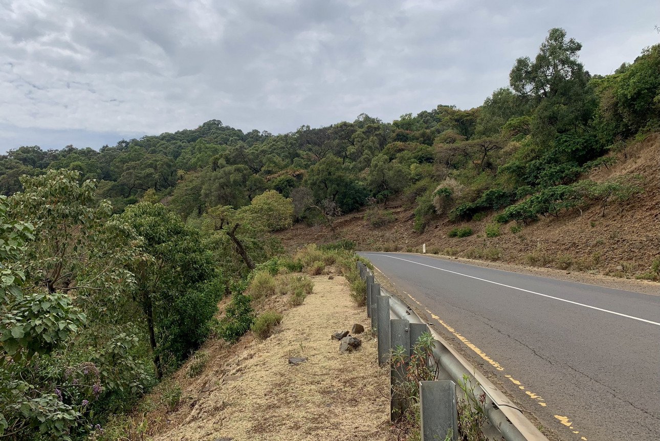 Der letzte Blick auf Tara Gedam vom Stra&szlig;enrand.