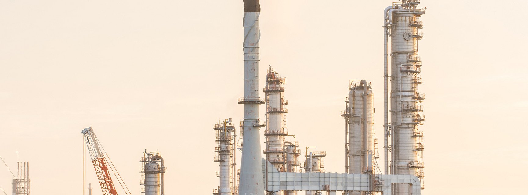 Decorative banner image