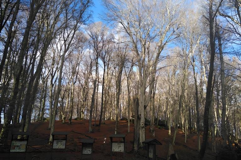 Erasmus Projekt BESTNATURE Wlder im Blick