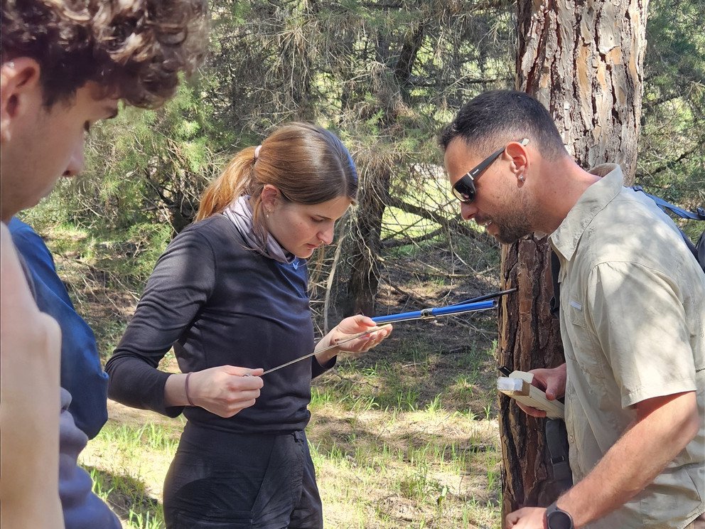 Photo by Dr Hans Kirchmeir, E.C.O. Institute for Ecology 