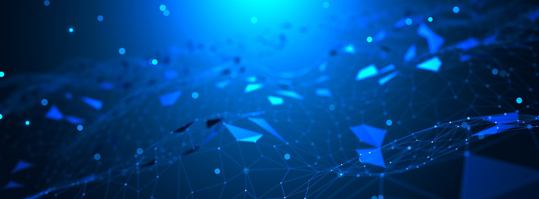 Decorative banner image