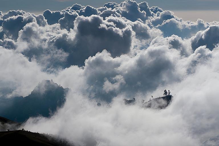 Europisches Netzwerk WEGO Wellbeing Ecology Gender and cOmmunity