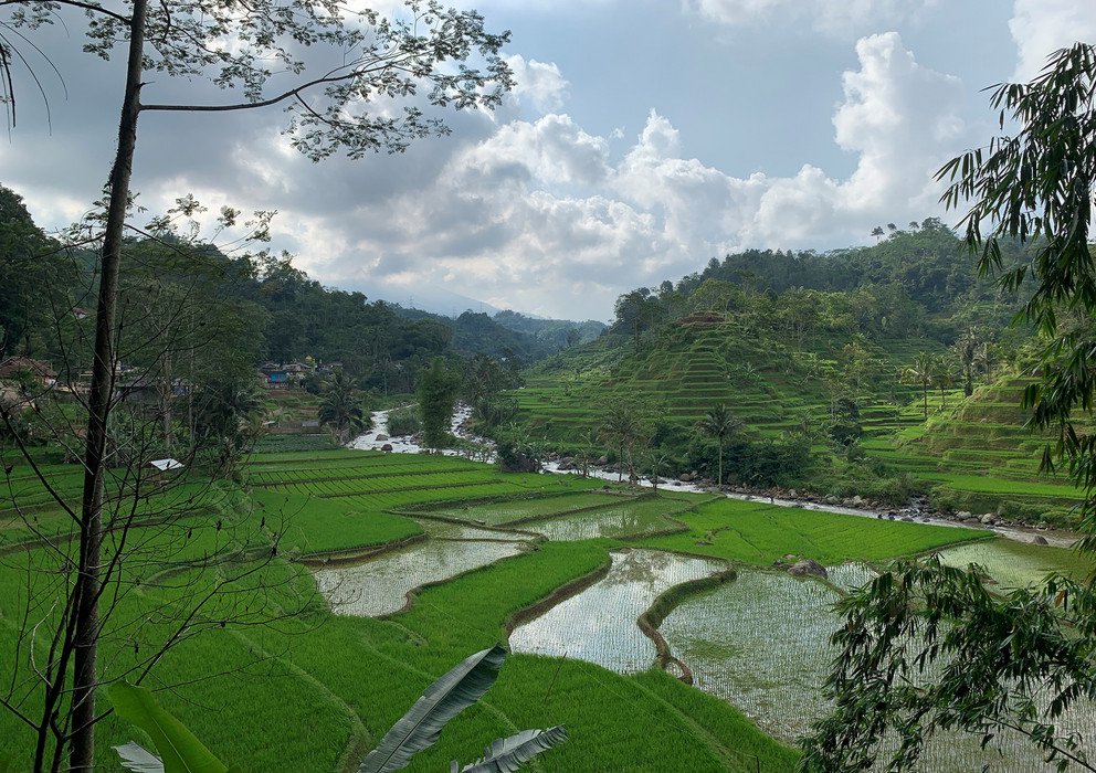 Dekoratives Bannerbild