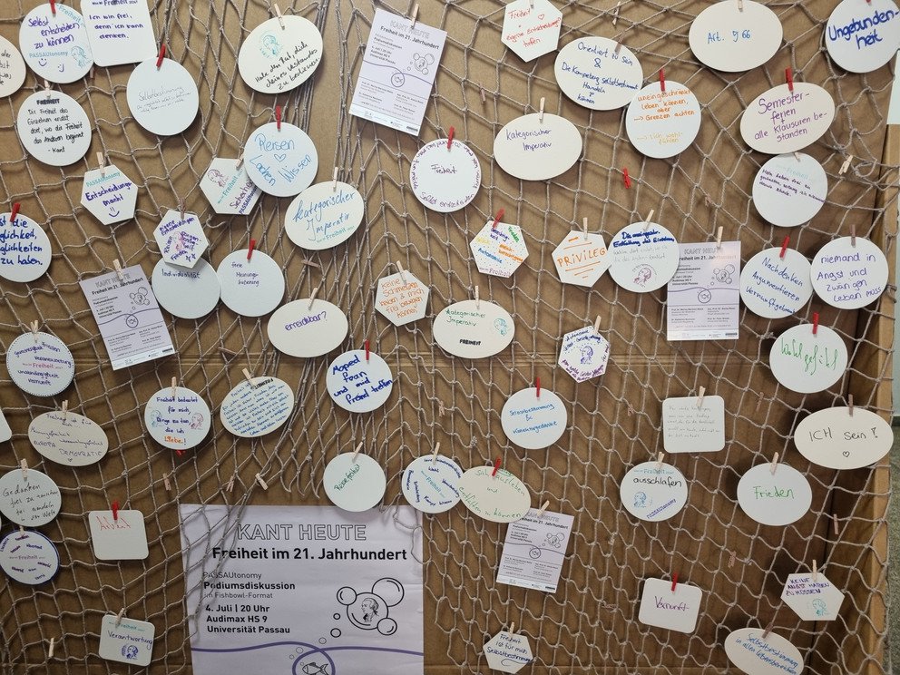 Thoughts from the university community on the topic of freedom today, collected in the fishing net.