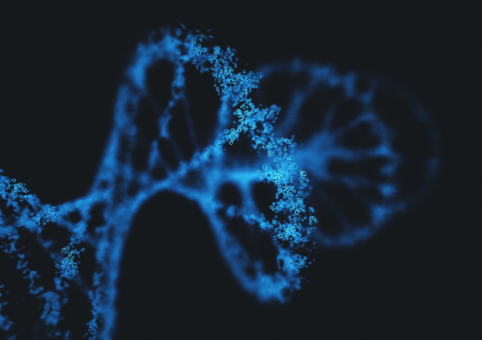 Decorative banner image