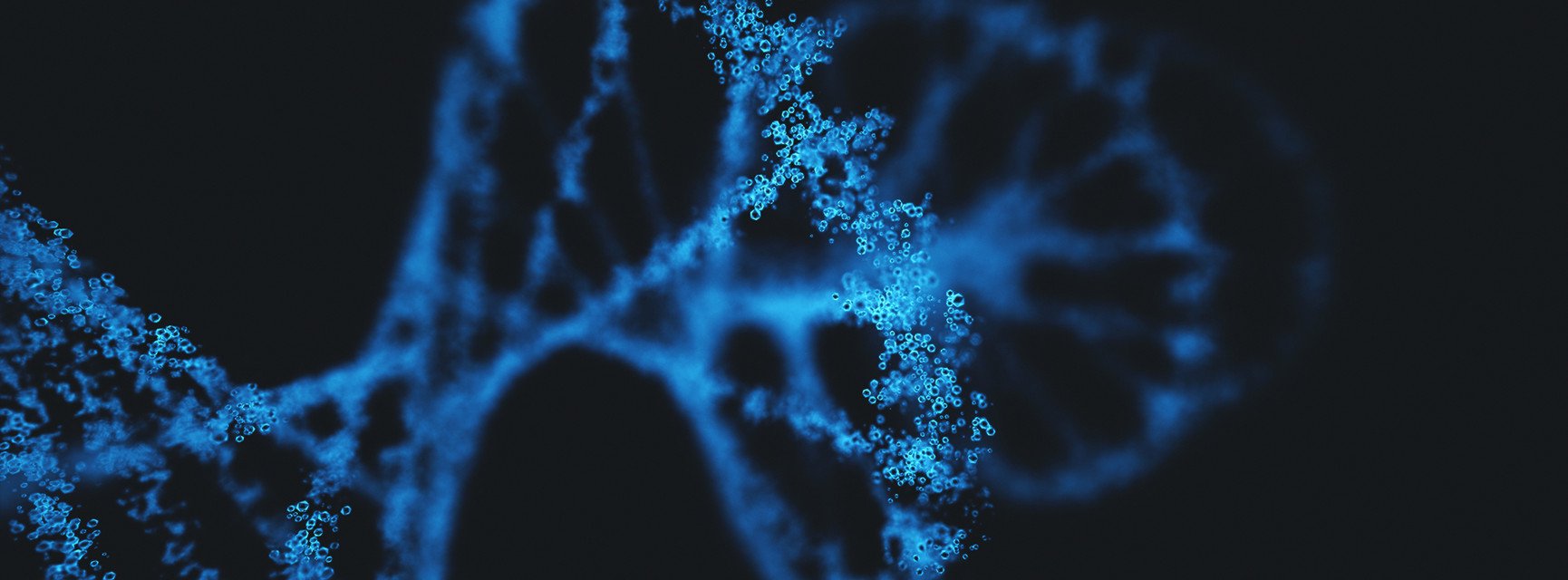 Decorative banner image