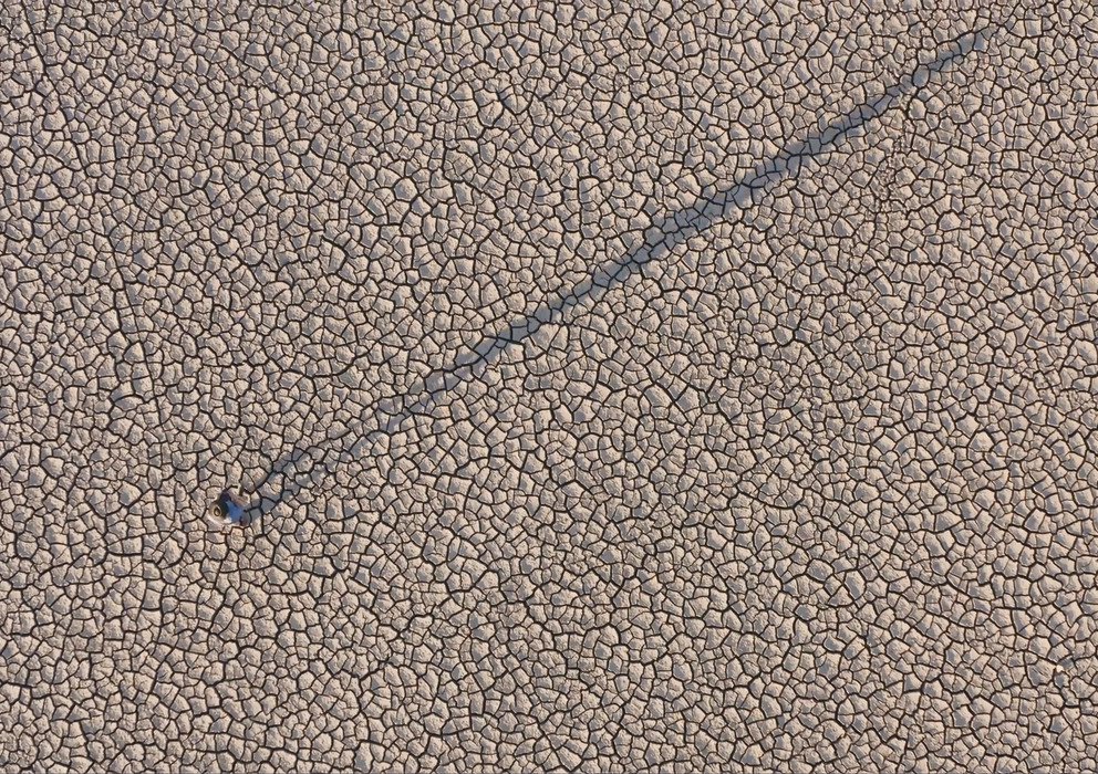 Decorative banner image