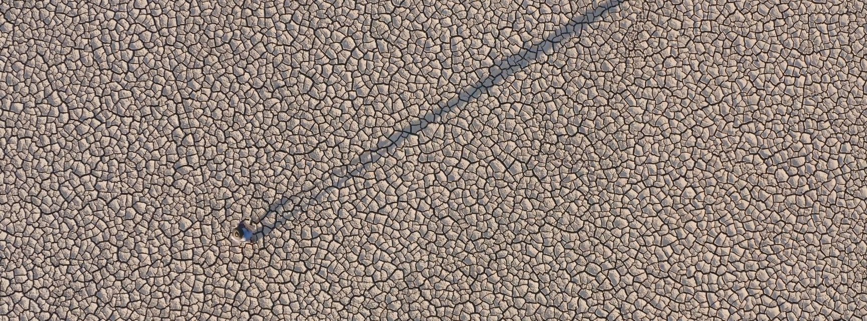 Decorative banner image