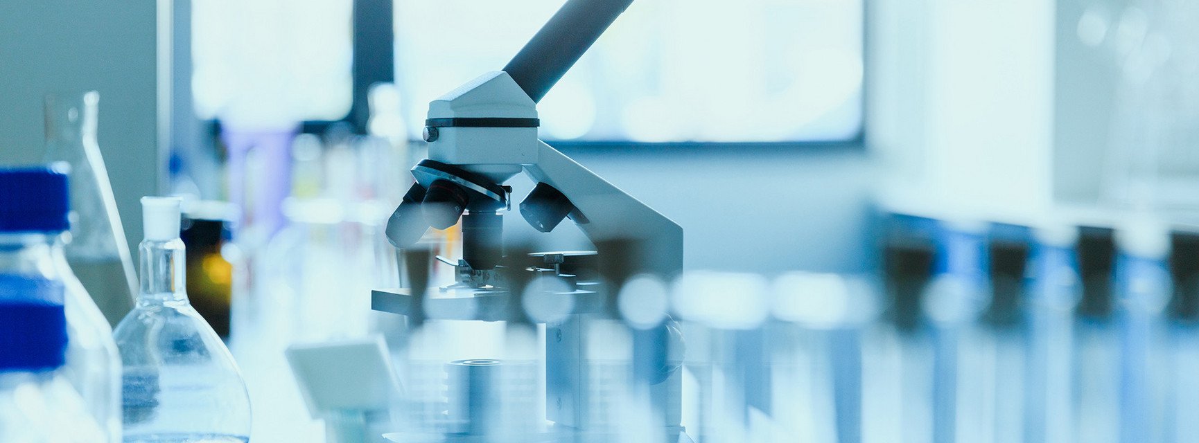 Decorative banner image