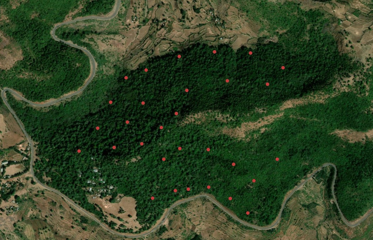 Die finale, angepasste Plot-Verteilung.