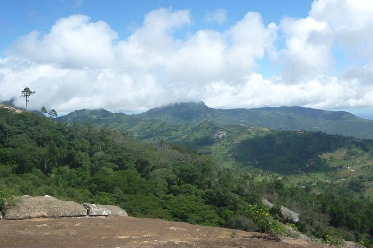 Projekt BioCult Passauer Forscherin untersucht Artenvielfalt und Biomasse in Wldern Kenias und thiopiens
