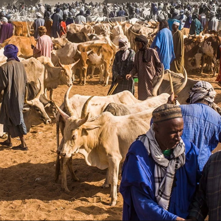 M&auml;nner beim Handeln auf einem Viehmarkt. Foto: Vincent Tremeau/World Bank