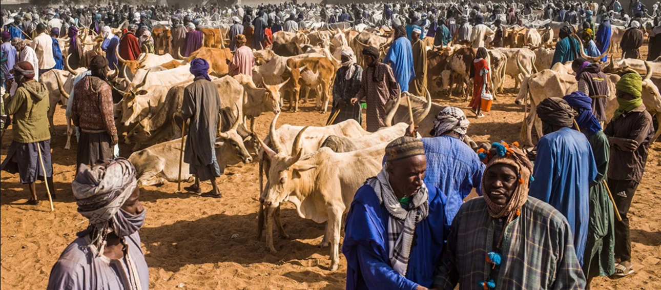 M&auml;nner beim Handeln auf einem Viehmarkt. Foto: Vincent Tremeau/World Bank