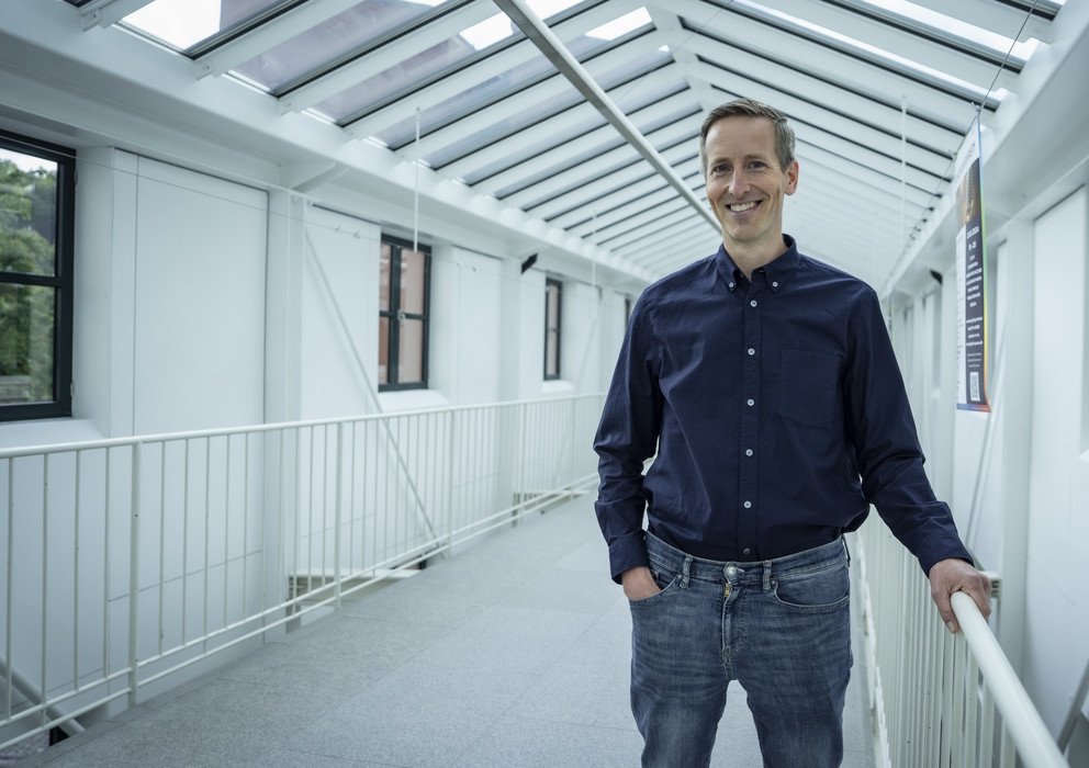 Dekoratives Bannerbild