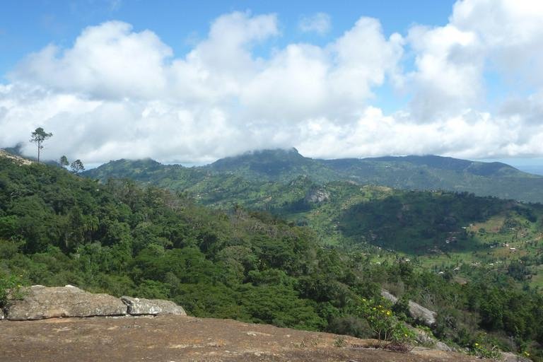 BioCult project Passau researcher studying biodiversity and biomass in the forests of Kenya and Ethiopia