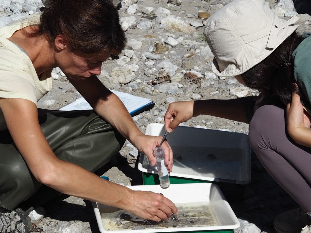 Professorin Anna Bellati von der Universit&auml;t Tuscia hilft den Studierenden beim Sortieren von Proben.
