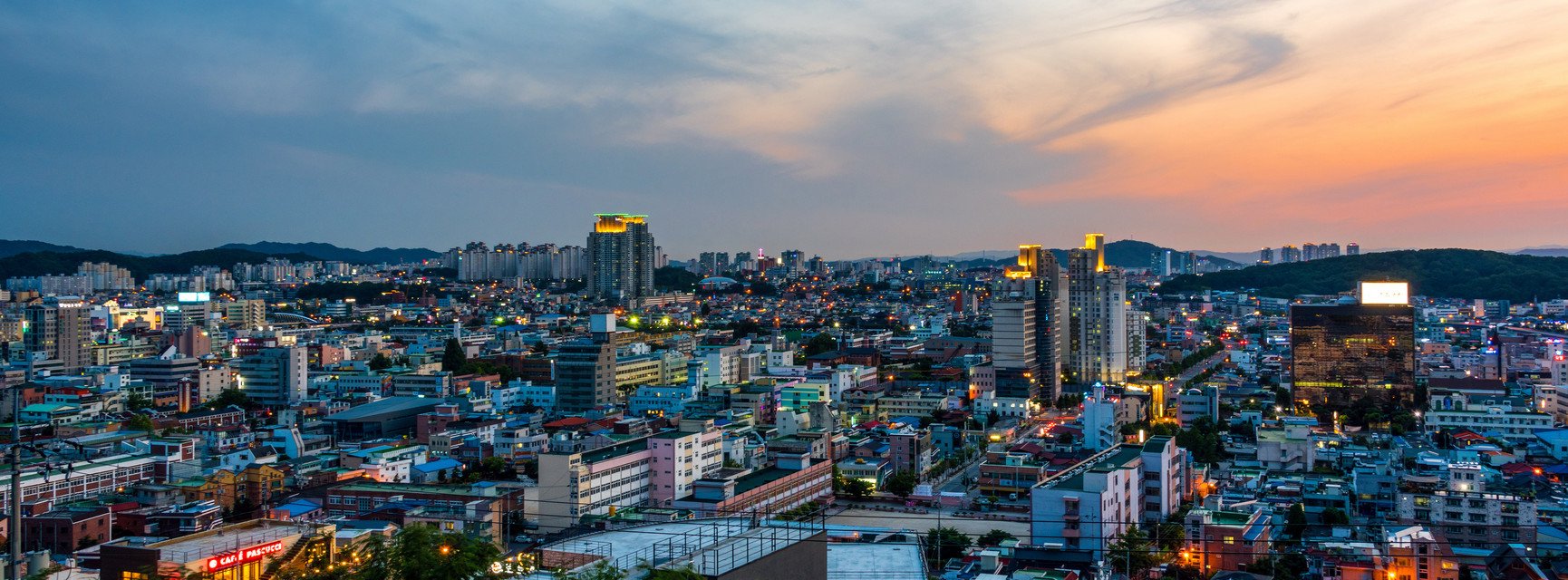 Decorative banner image