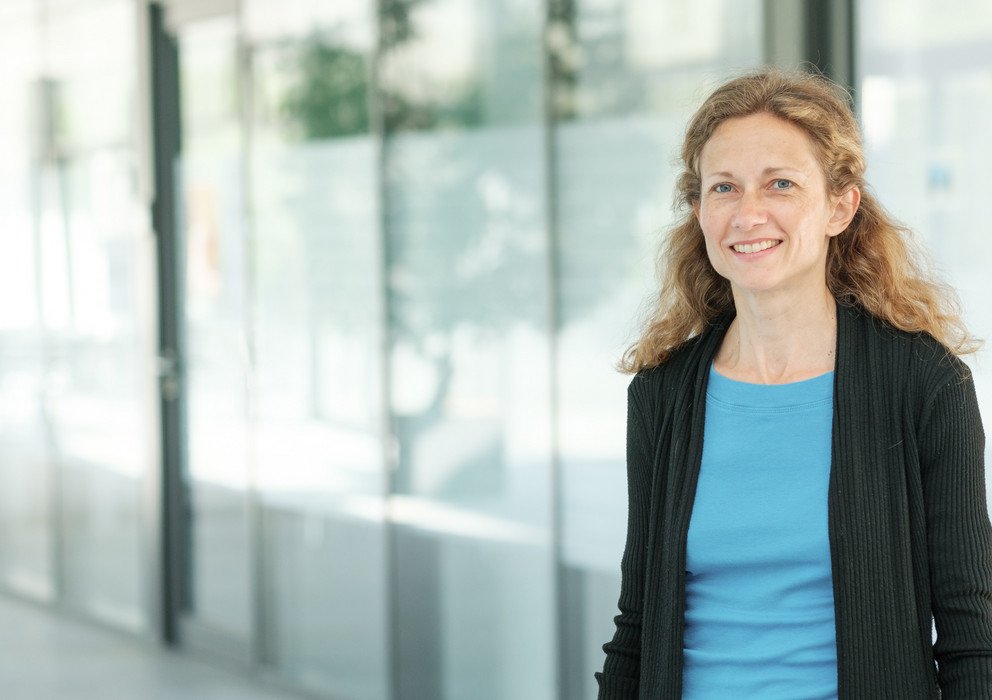 Decorative banner image